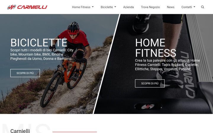 Screenshot of carnielli.com