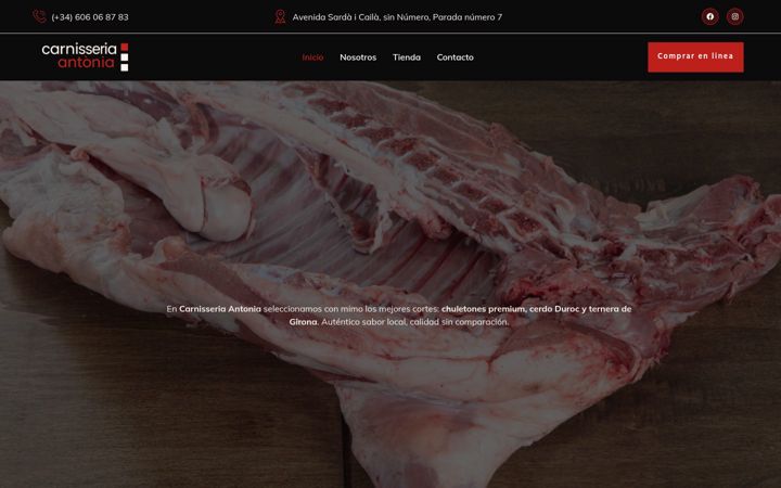 Screenshot of carnisseriaantonia.com