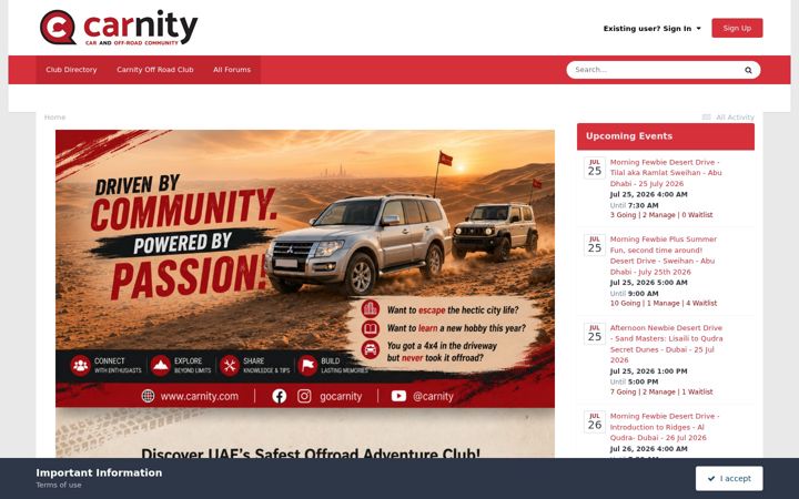 Screenshot of carnity.com