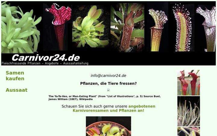 Screenshot of carnivor24.de