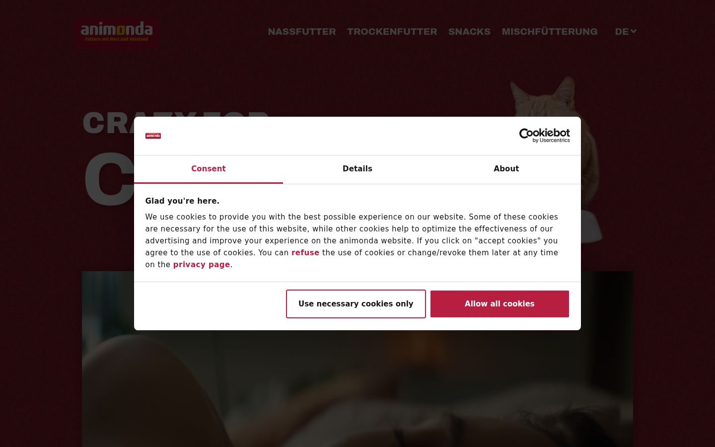 Screenshot of the consent banner shown before any interaction