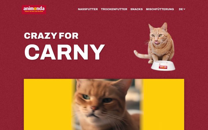Screenshot of carny.de