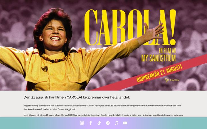 Screenshot of carola.com