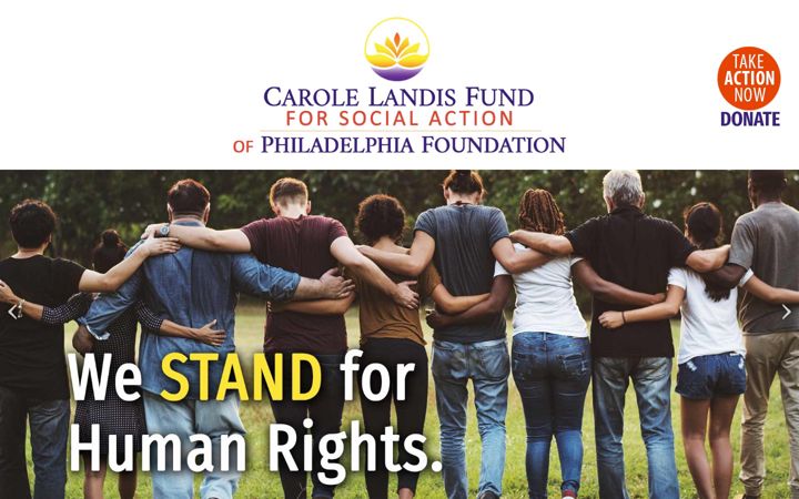 Screenshot of carolelandisfund.org