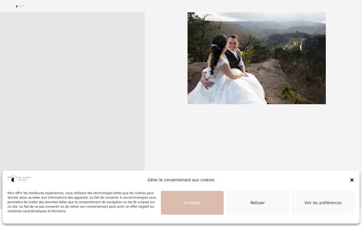Screenshot of caroleweissbeck.com