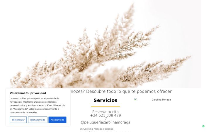Screenshot of carolinamoraga.es