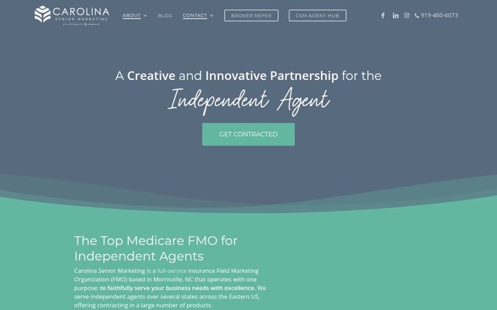 Screenshot of carolinaseniormarketing.com