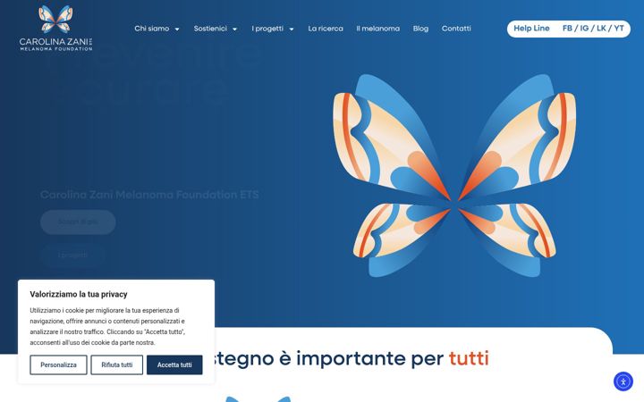 Kuvakaappaus sivustosta carolinazanifoundation.org