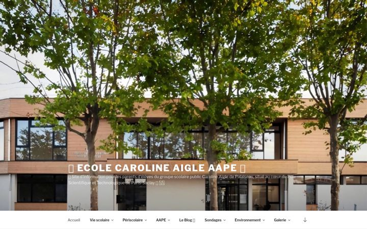 Screenshot of caroline-aigle.fr