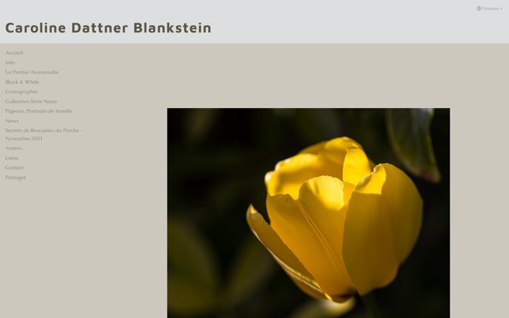 Zrzut ekranu caroline-blankstein.fr