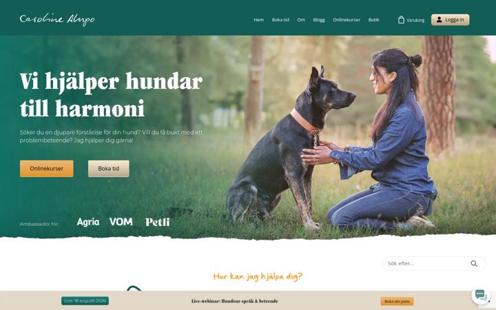 Screenshot of carolinealupo.se