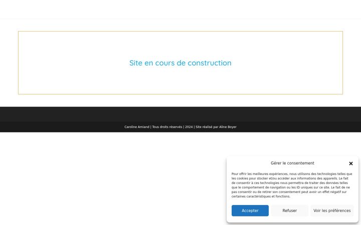 Screenshot of carolineamiand.com