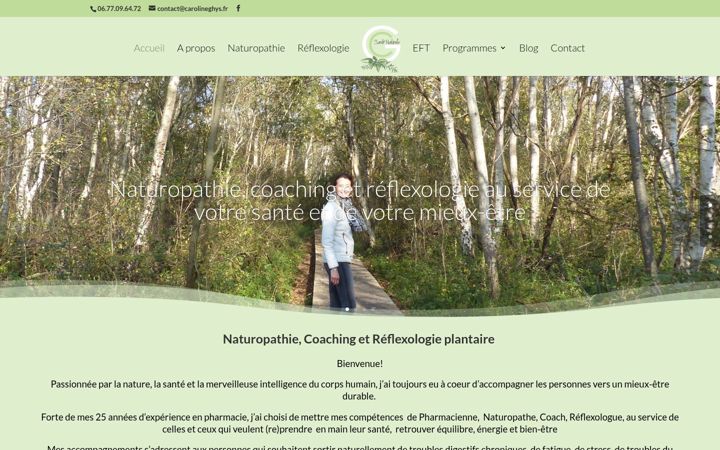 Screenshot of carolineghys.fr