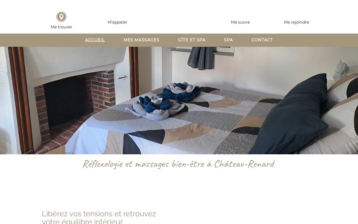 Screenshot of carolineheniau.fr