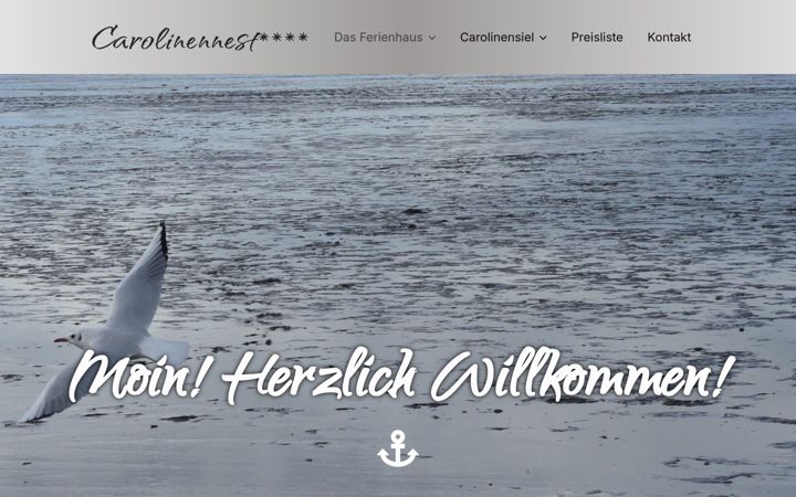 Screenshot of carolinennest.de