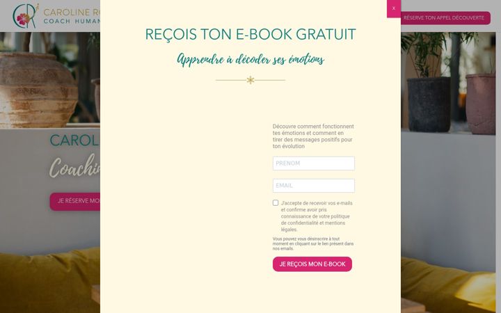 Screenshot of carolineroux.fr