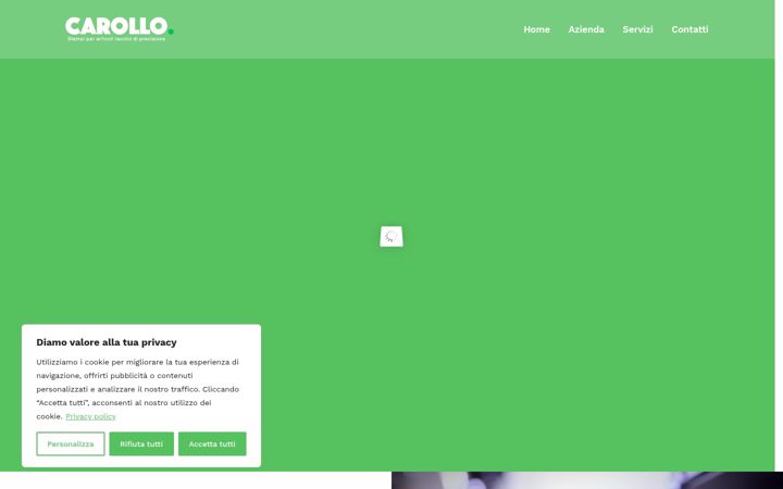Screenshot of carollostampi.it