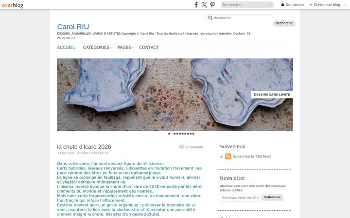 Screenshot of carolriu.com
