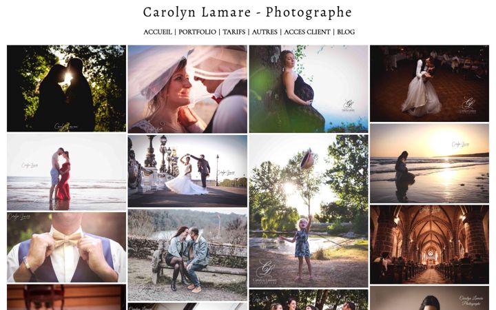 Screenshot of carolynlamarephotographe.com