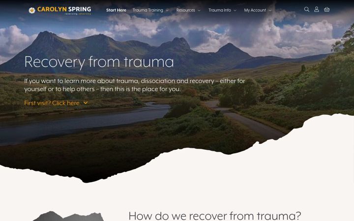 Screenshot of carolynspring.com