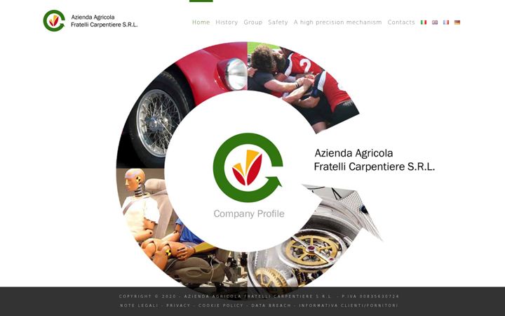 Screenshot of carpentieregroup.com