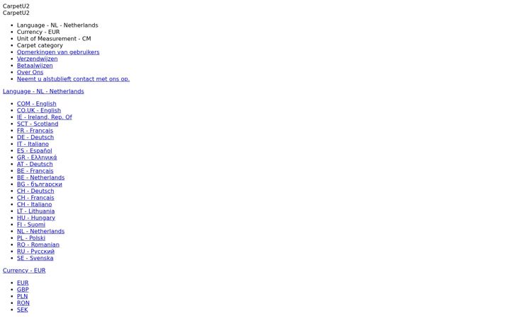 Screenshot of carpetu2.nl