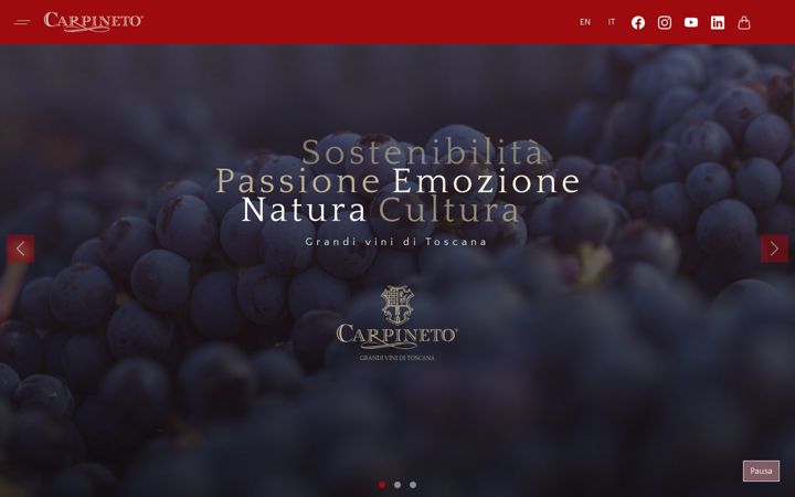 Screenshot of carpineto.com