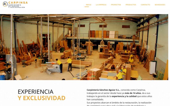 Screenshot of carpinsa.com