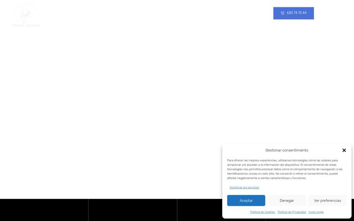 Screenshot of carpinteriametalicapedrosamuel.es