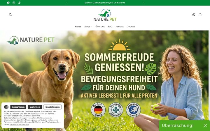 Screenshot of carpolock.de