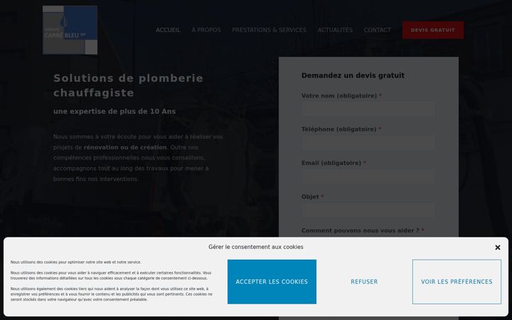 Screenshot of carrebleuidf.fr