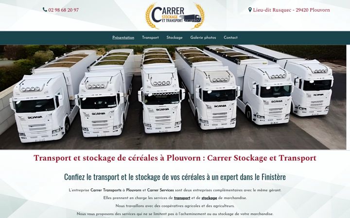 Screenshot of carrertransportstockagecereales.fr