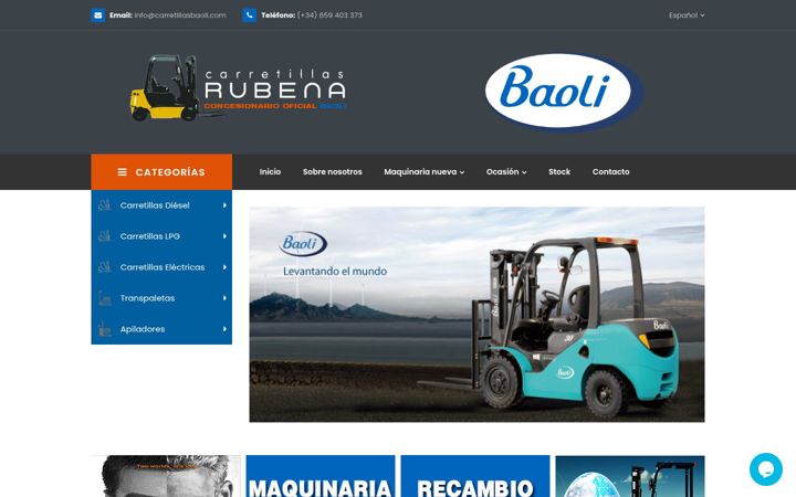 Screenshot of carretillasbaoli.com