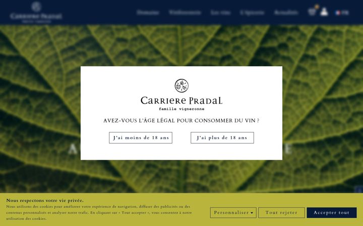 Screenshot του carrierepradal.fr
