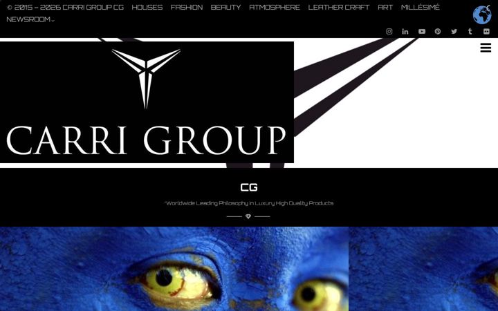 Screenshot of carrigroup.com