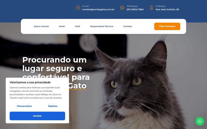 Screenshot stránky carrijogatos.com.br