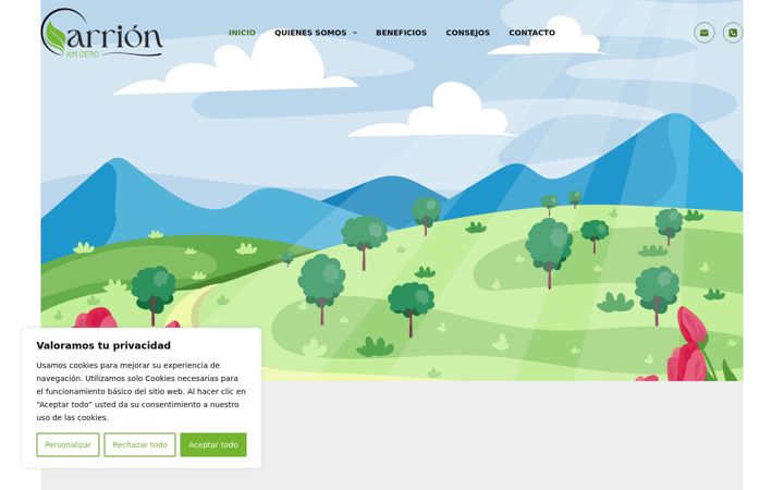 Screenshot of carrionkmcero.es