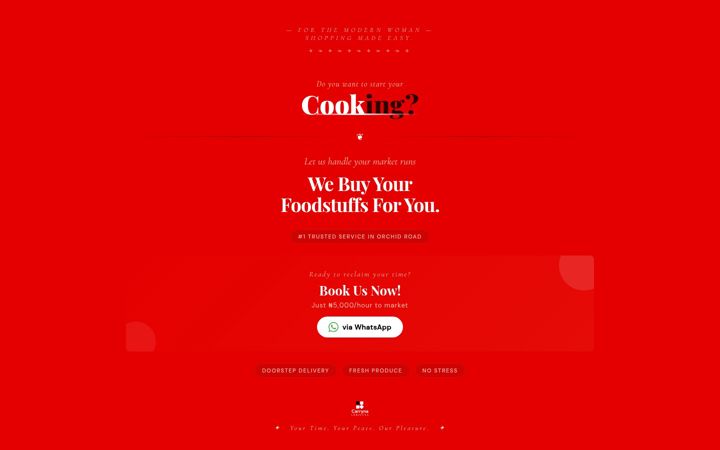 Screenshot of carryna.com