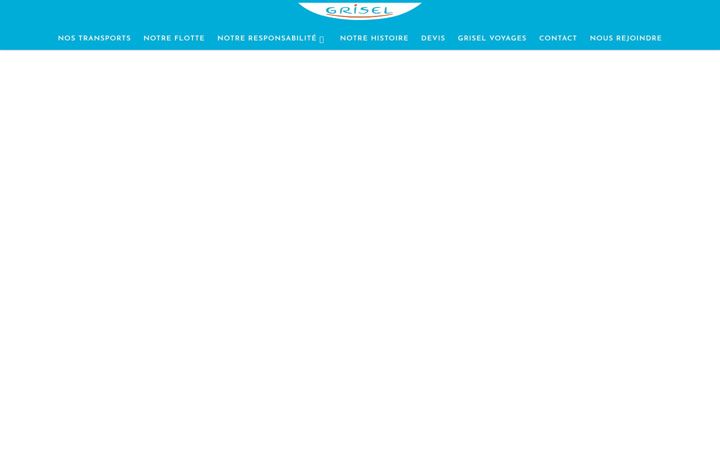 Screenshot of cars-grisel.fr