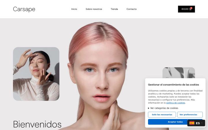 Screenshot of carsape.com