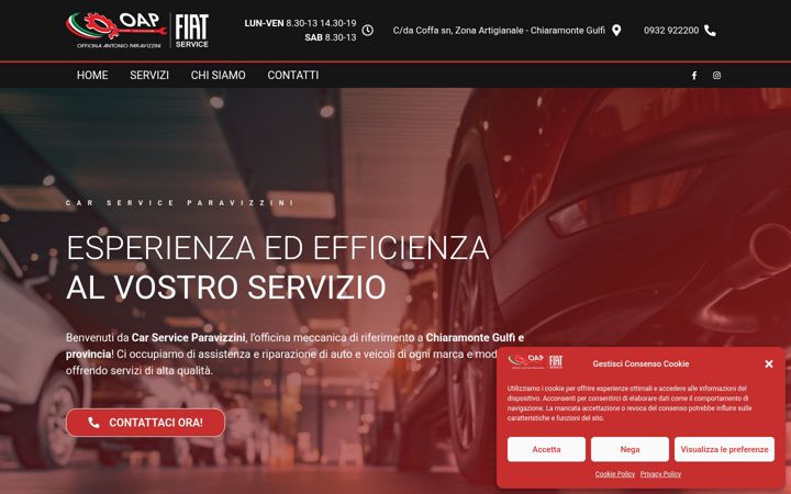 Screenshot of carserviceparavizzini.it