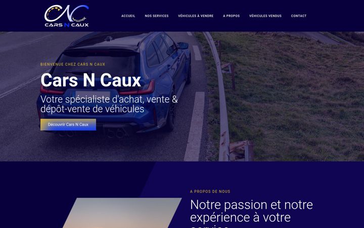 Screenshot of carsncaux.fr