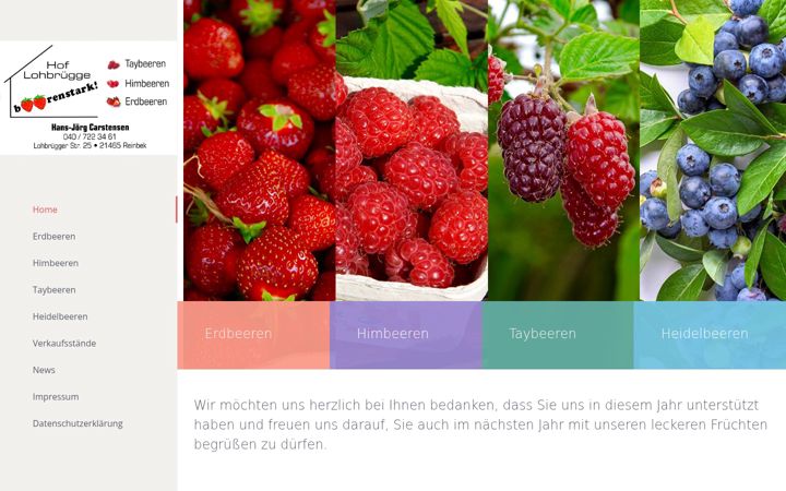 Screenshot of carstensen-reinbek.de
