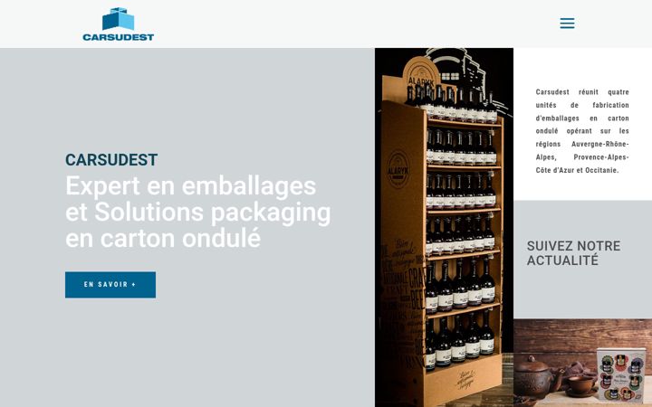 Screenshot of carsudest.fr