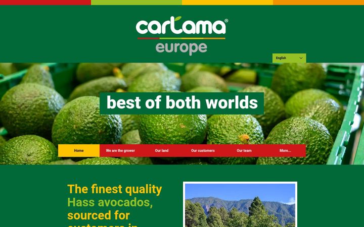 Screenshot of cartamaeurope.com