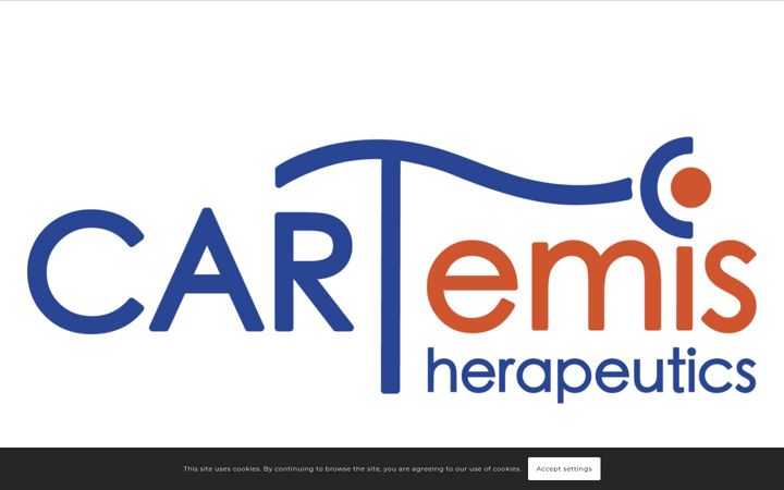 Screenshot of cartemis.de