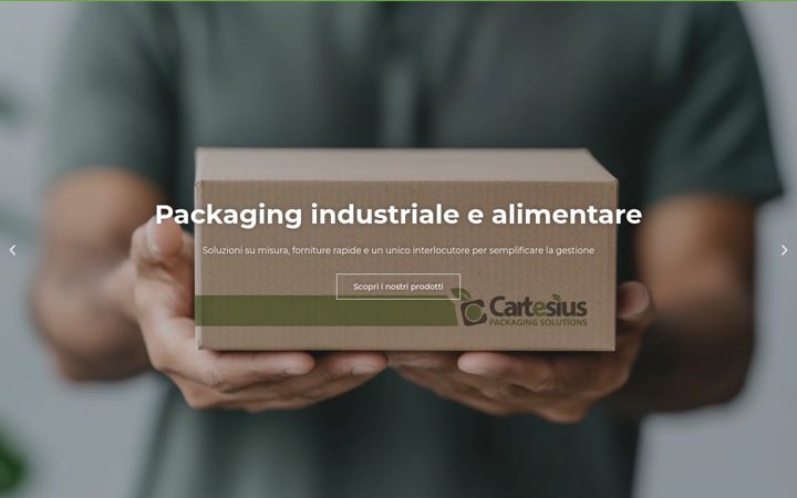Skærmbillede af cartesius.it