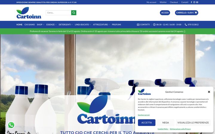 Screenshot of cartoinn.com