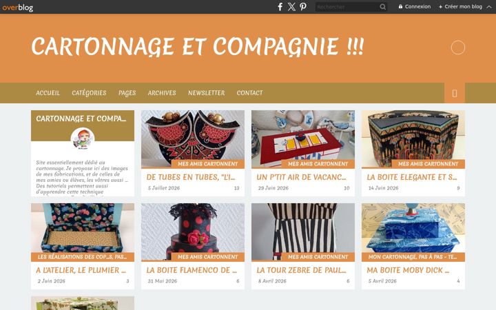Screenshot of cartonnageetcompagnie.com