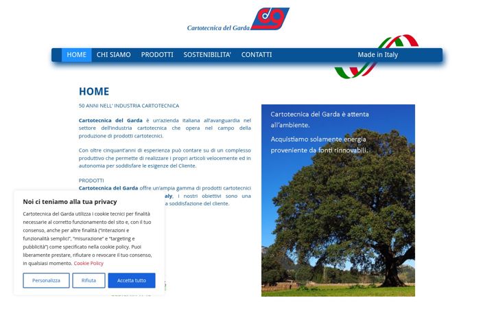 Screenshot of cartotecnicadelgarda.com